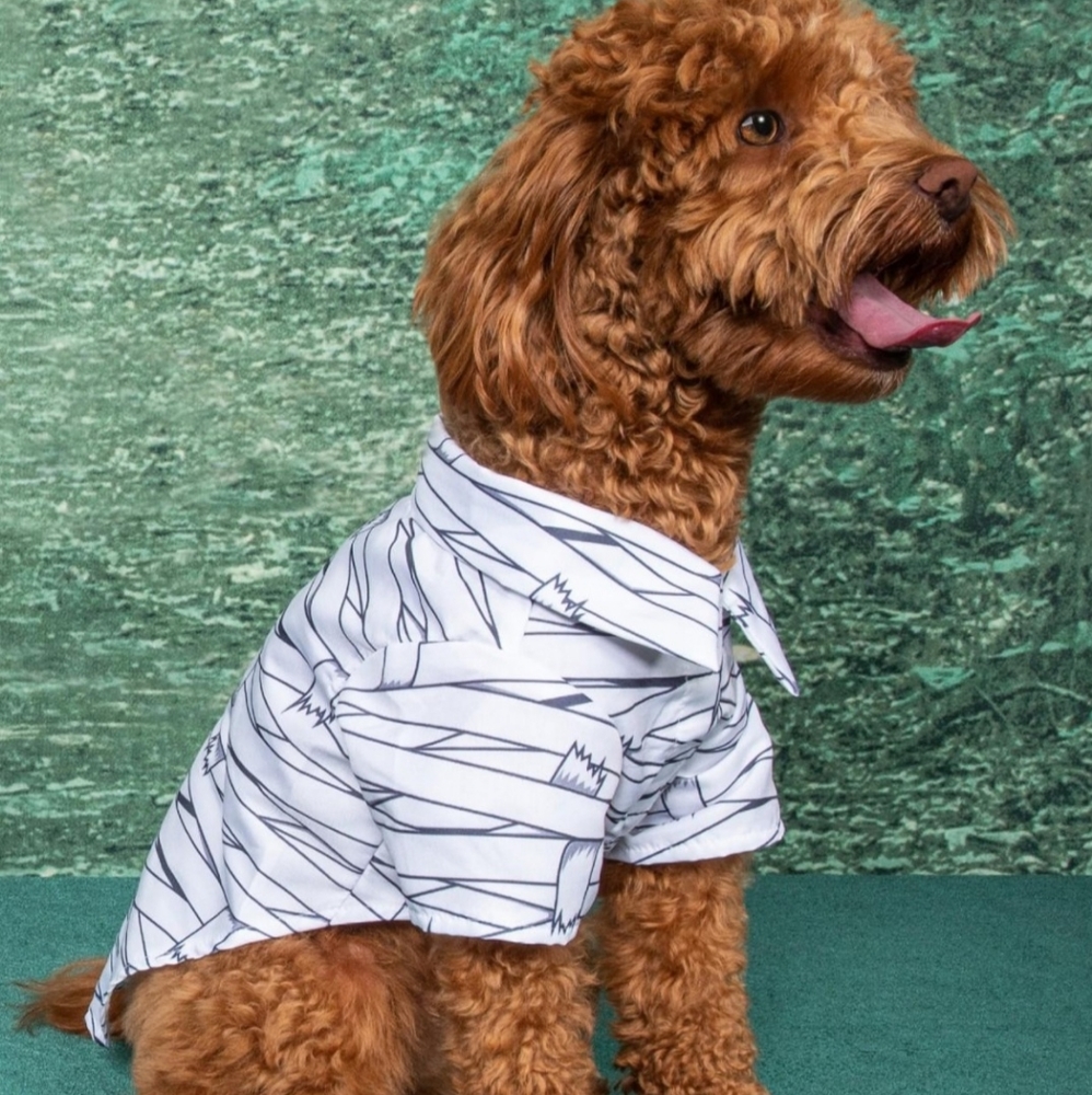 Mummy Halloween Dog Shirt